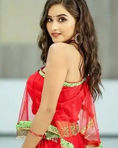 Call Girls Service Nawagarh